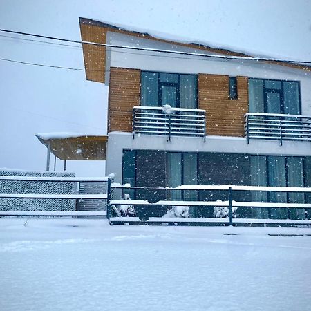 Cottage Marta Sadgeri Borjomi Bagian luar foto